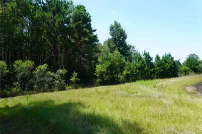 4733 Fm 943, Livingston, TX 77351 - Photo 30