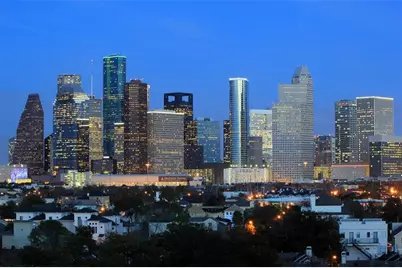 1607 Roy Street, Houston, TX 77007 - Photo 36