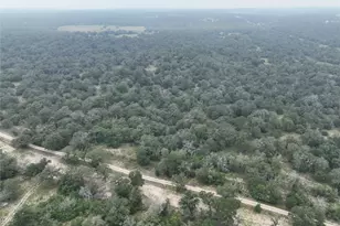 205 Beehaven Ln Rd, Seguin, TX 78155 - Photo 10