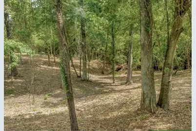 Tbd Commodore and Brame Drive, Livingston, TX 77351 - Photo 2