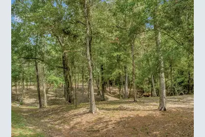 Tbd Commodore and Brame Drive, Livingston, TX 77351 - Photo 4