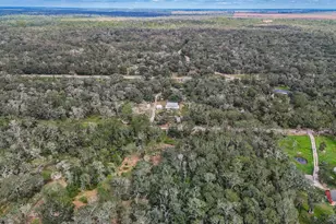 0 Live Oak St, Damon, TX 77430 - Photo 4