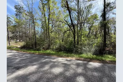 Tbd Walker Drive, Conroe, TX 77303 - Photo 4