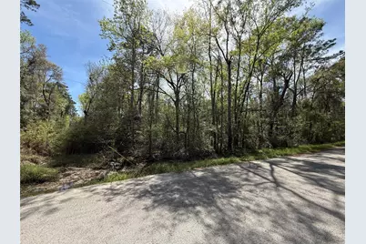 Tbd Walker Drive, Conroe, TX 77303 - Photo 6