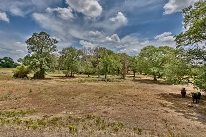 0 Mt Vernon Road, Brenham, TX 77833 - Photo 2
