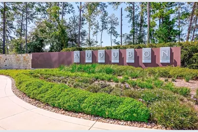 15211 Francolin Place, Magnolia, TX 77354 - Photo 32