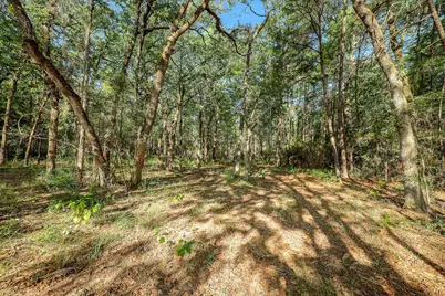 189 Rim Rock Road, Huntsville, TX 77340 - Photo 10