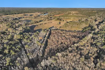 Tbd 0 Hwy 84 W, Mount Enterprise, TX 75681 - Photo 4