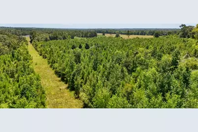 405 County Road 3000, Woodville, TX 75979 - Photo 10