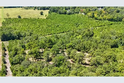 405 County Road 3000, Woodville, TX 75979 - Photo 42