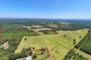405 Co Rd 3000, Woodville, TX 75979 - Photo 1