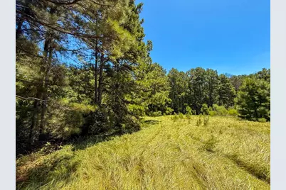 405 County Road 3000, Woodville, TX 75979 - Photo 18