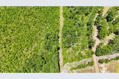 405 County Road 3000, Woodville, TX 75979 - Photo 38