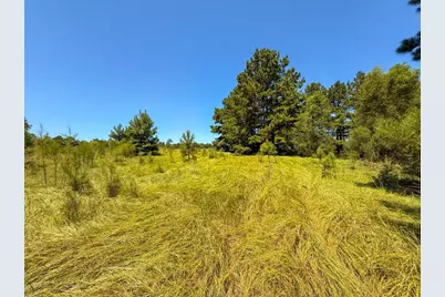 405 County Road 3000, Woodville, TX 75979 - Photo 20
