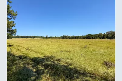 405 County Road 3000, Woodville, TX 75979 - Photo 6