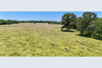 405 County Road 3000, Woodville, TX 75979 - Photo 14