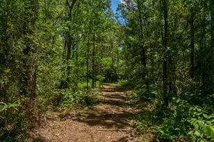 9195 Co Rd 207, Plantersville, TX 77363 - Photo 48