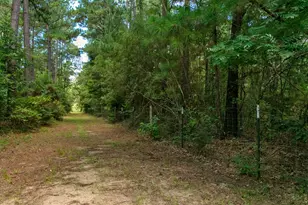 9195 Co Rd 207, Plantersville, TX 77363 - Photo 46