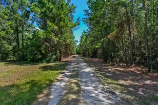 9195 Co Rd 207, Plantersville, TX 77363 - Photo 4