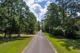 9195 Co Rd 207, Plantersville, TX 77363 - Photo 2