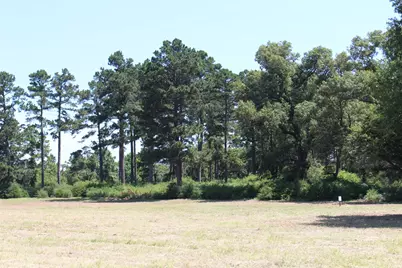 Tract 16 Pr 1313, Centerville, TX 75833 - Photo 16