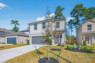 8514 Blueberry Ash St, Magnolia, TX 77354 - Photo 6