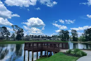 126 Courageous Side Way, Magnolia, TX 77354 - Photo 24