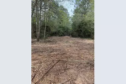 Tbd Roughneck Road, Conroe, TX 77306 - Photo 4