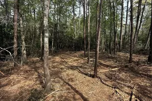 Tbd Roughneck Rd, Conroe, TX 77306 - Photo 1