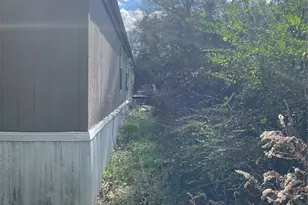 250 County Rd 2231, Center, TX 75935 - Photo 10