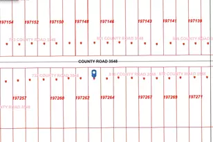 802 County Road 3548, Cleveland, TX 77327 - Photo 1