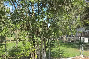 20527 Lk Frst Dr E, Guy, TX 77444 - Photo 20