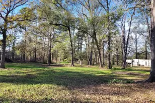 15536 Firetower Rd, Conroe, TX 77306 - Photo 10