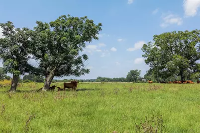 4231 Johnston Road, Wallis, TX 77485 - Photo 34