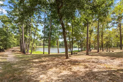 6702 W Bluff Drive, Magnolia, TX 77354 - Photo 34