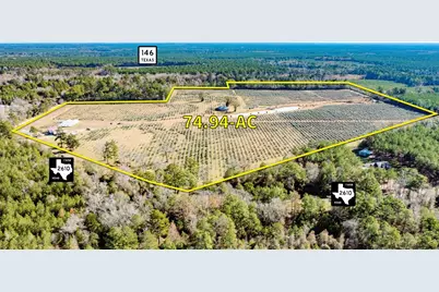 1201 Fm 2610, Livingston, TX 77351 - Photo 6