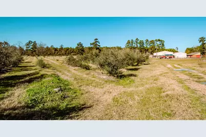 1201 Fm 2610, Livingston, TX 77351 - Photo 14