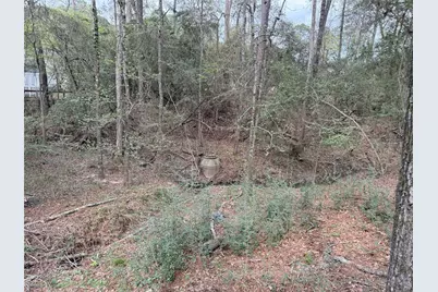 76 Corkwood Road, Trinity, TX 75862 - Photo 28