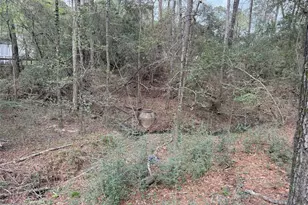 76 Corkwood Rd, Trinity, TX 75862 - Photo 28