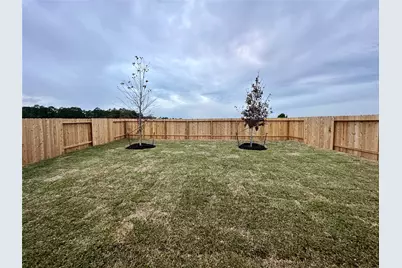 506 Dalloway Street, Montgomery, TX 77316 - Photo 26