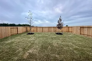 506 Dalloway St, Montgomery, TX 77316 - Photo 26