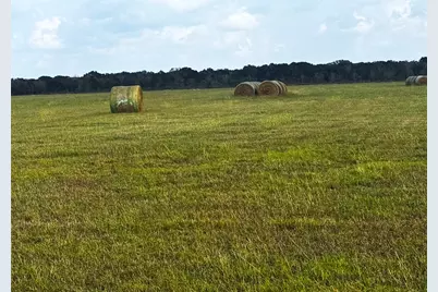 Tbd County Road 321, Louise, TX 77455 - Photo 6