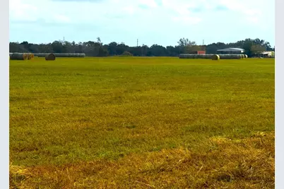 Tbd County Road 321, Louise, TX 77455 - Photo 4