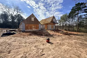 10118 County Road 302, Plantersville, TX 77363 - Photo 16