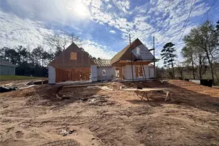 10118 County Road 302, Plantersville, TX 77363 - Photo 18