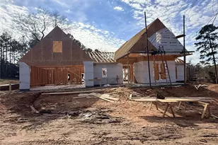 10118 County Road 302, Plantersville, TX 77363 - Photo 14