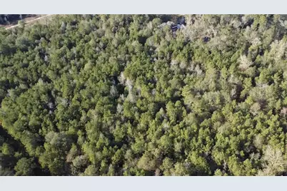 Tbd Road 3813, Cleveland, TX 77328 - Photo 8