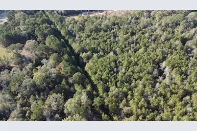 Tbd Road 3813, Cleveland, TX 77328 - Photo 6