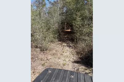 00 County Road 4180, Lovelady, TX 75851 - Photo 8