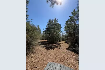 00 County Road 4180, Lovelady, TX 75851 - Photo 10